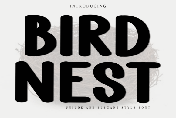 Bird Nest Font: A Warm, Distinctive Display Typeface for Small Business Branding